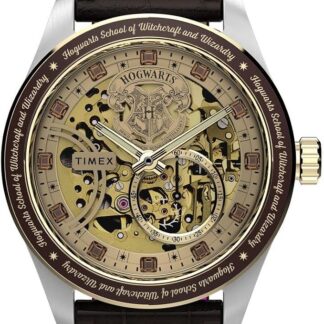 Timex TW2Y75500 Meski zegarek