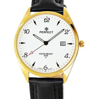 Zegarek Męski PERFECT C530T-10